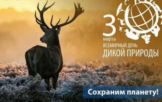 be2808f872d27d2438c78c2a755767078a9510d7378ca89e347c82353db98a89.jpg