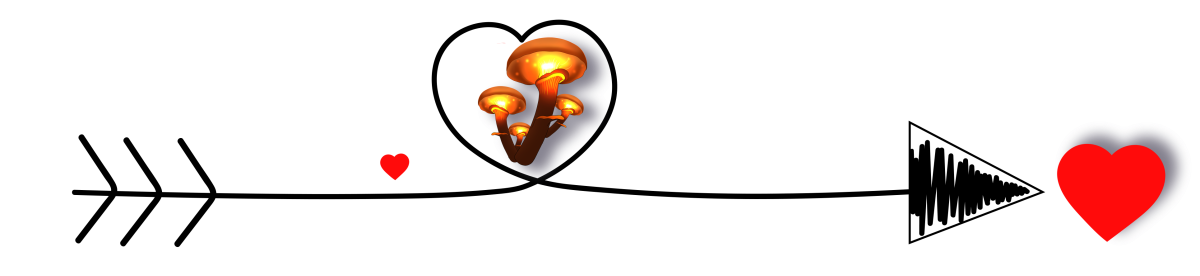 562f1046b003e1d540f0e778ffc20305132797b1fc9732a94f671d0e5473cb20.png