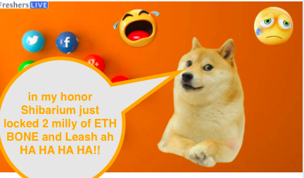 2cdd8d9d8a3395356aa3f6c1b8a10805359605231a9f28e0c579c8789fa351cd.png