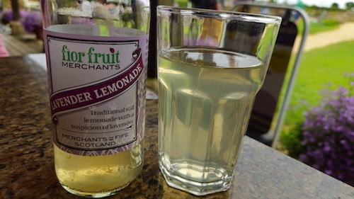 lemonade