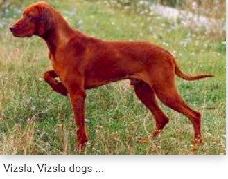 d8b4bf9a138887b99338e232196bf0fb0d395832b2995605b31a983cd85291ea.png