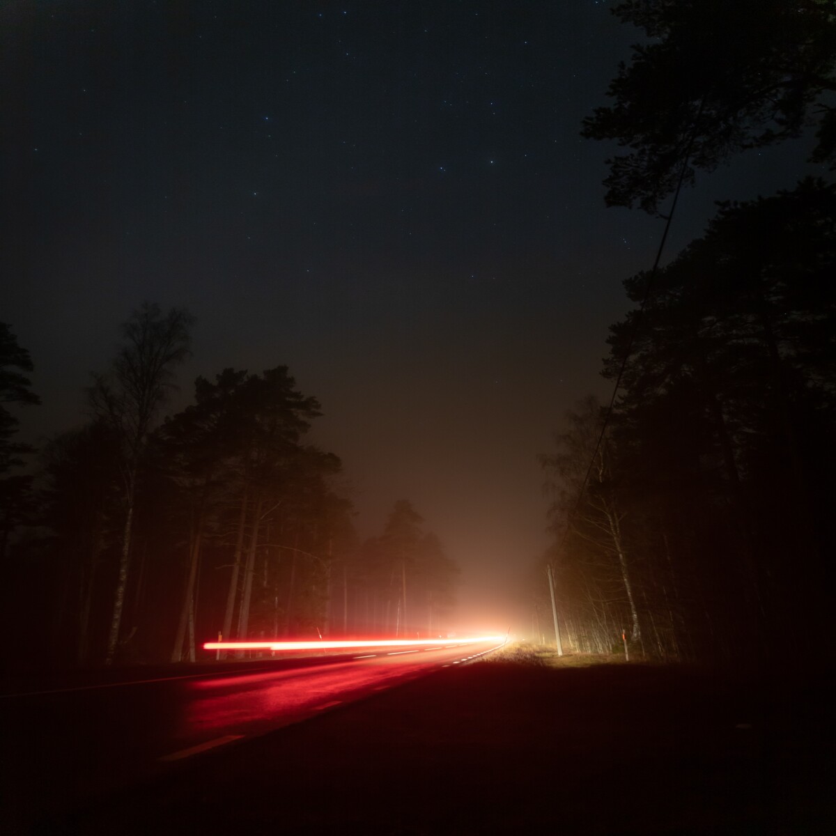 https://unsplash.com/photos/jbhTftkGvUM?utm_source=unsplash&amp;utm_medium=referral&amp;utm_content=creditShareLink