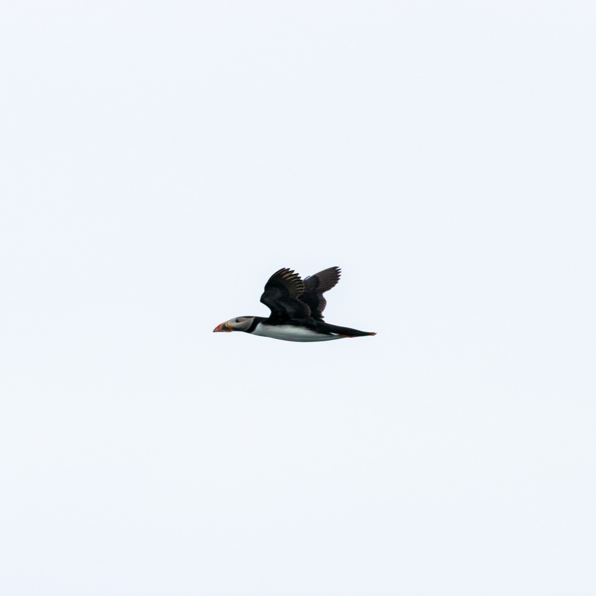 https://unsplash.com/photos/MHwOy4hKF-k?utm_source=unsplash&amp;utm_medium=referral&amp;utm_content=creditShareLink