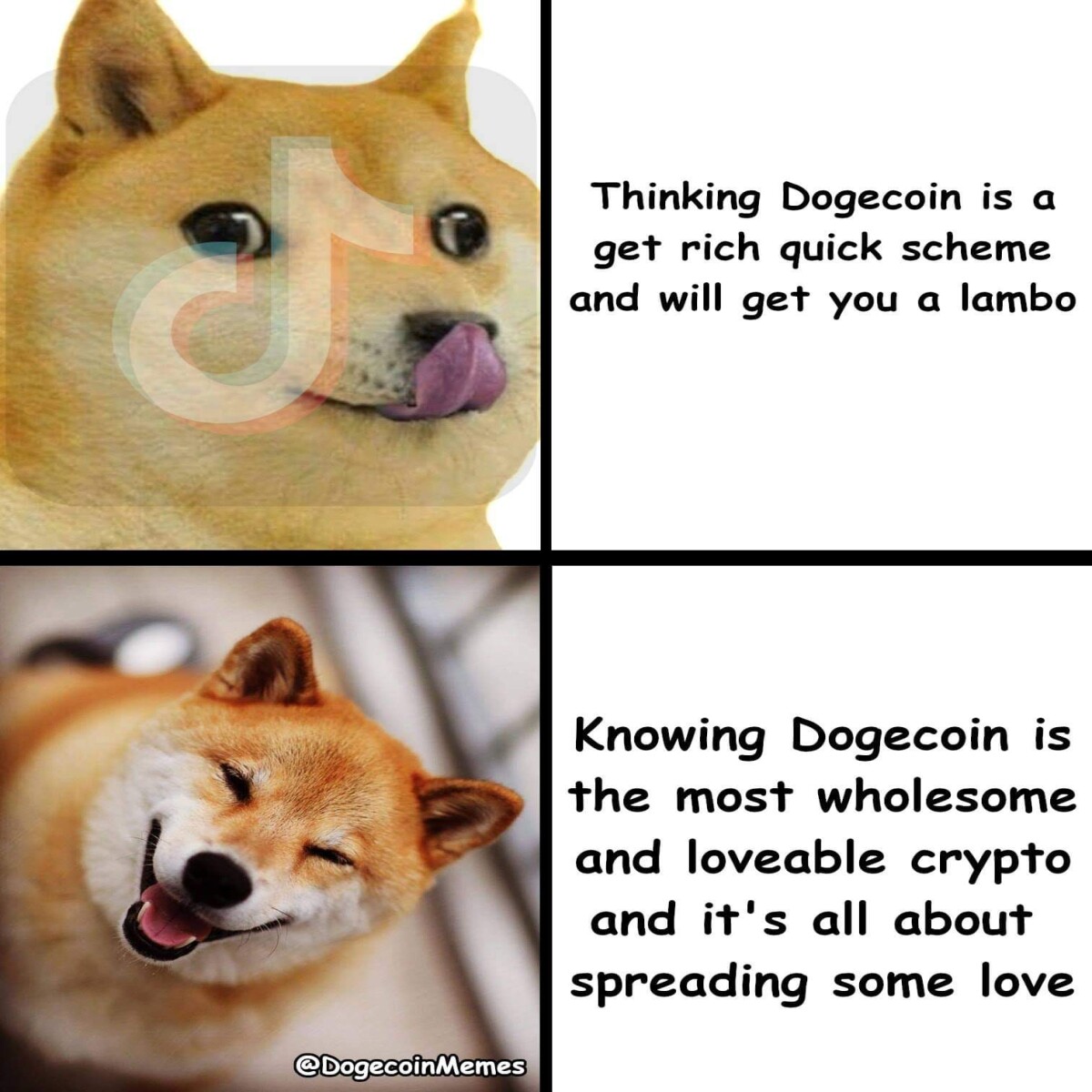 0bde393951385ad9d61c7f764d1121de1763190cd03b4082bdf85bf4a80316f7.jpg