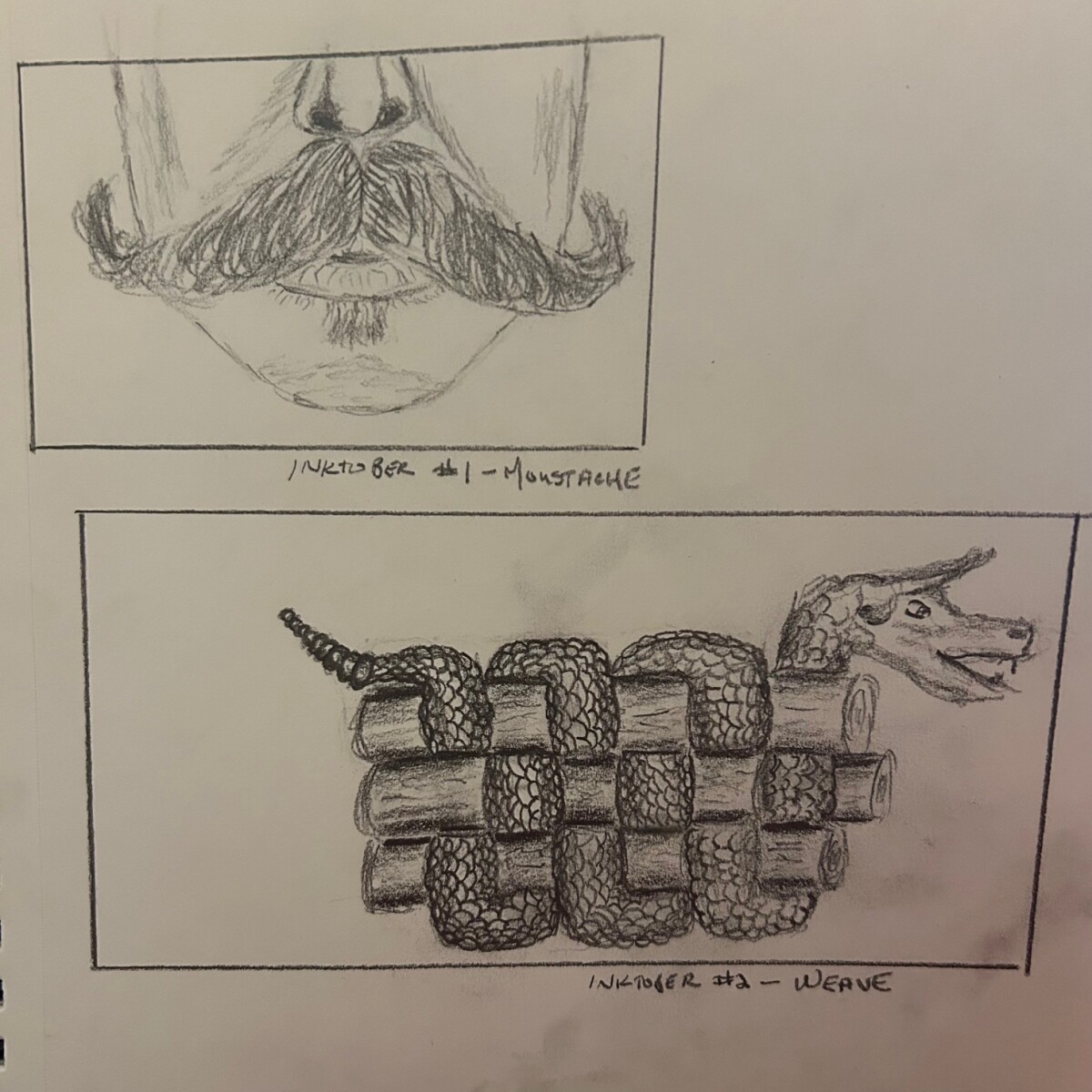 Moustache, Dragon weaving through logs - pencil
