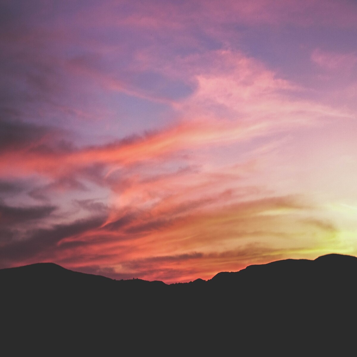 https://unsplash.com/photos/W-IuqDT0lhc