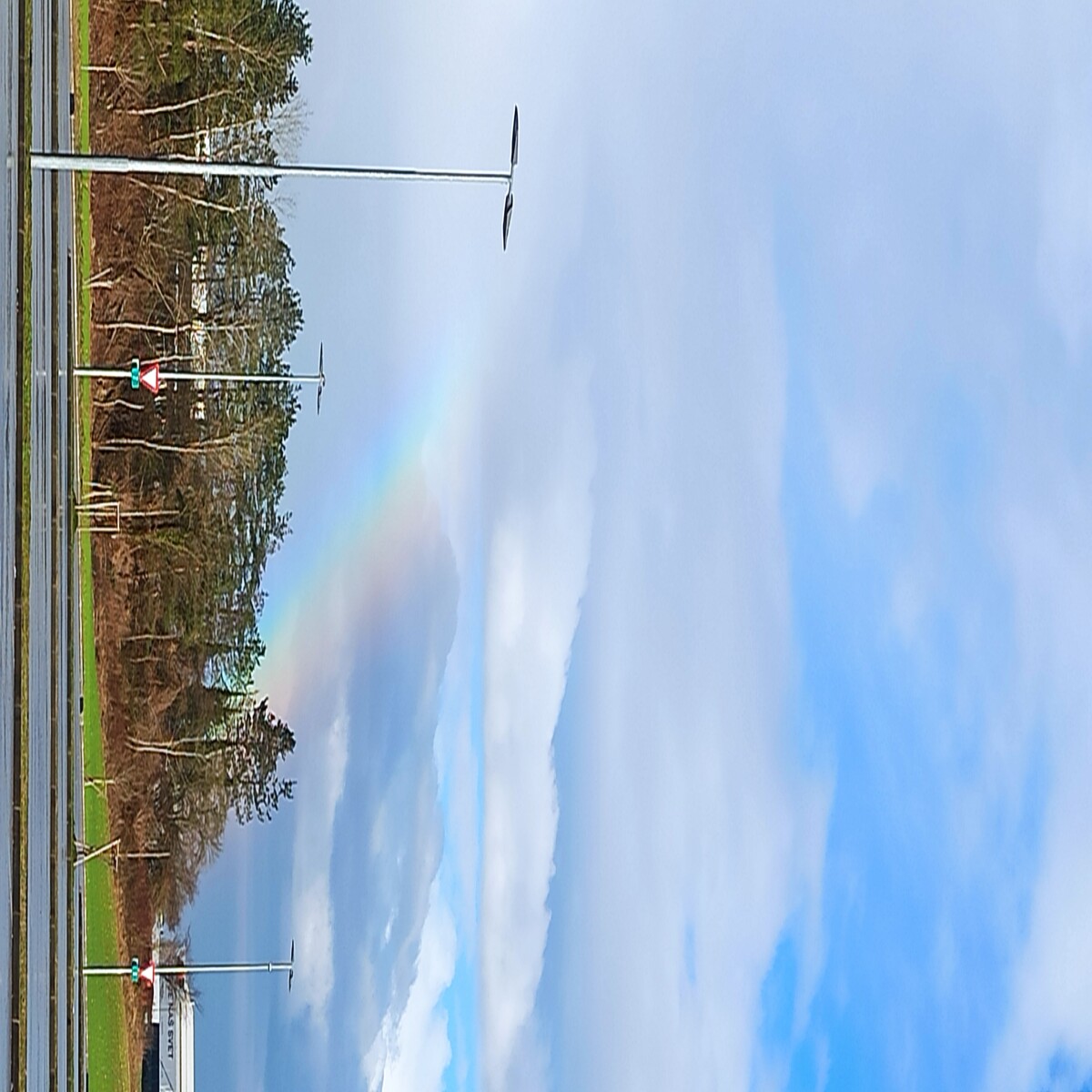The bow of rain