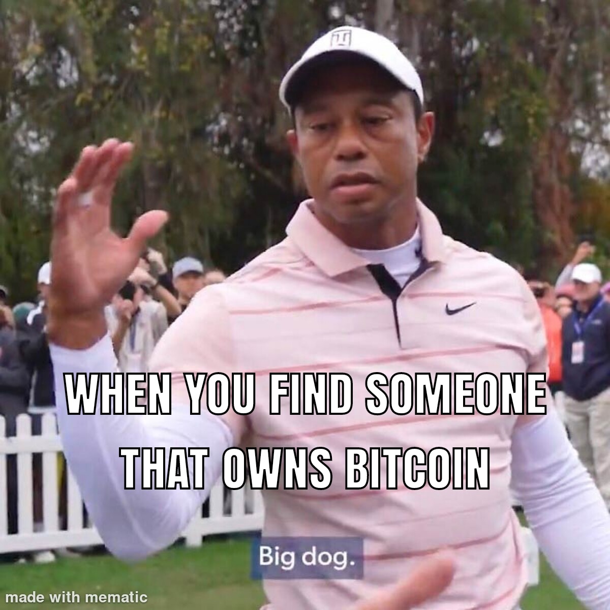 Crypto meme