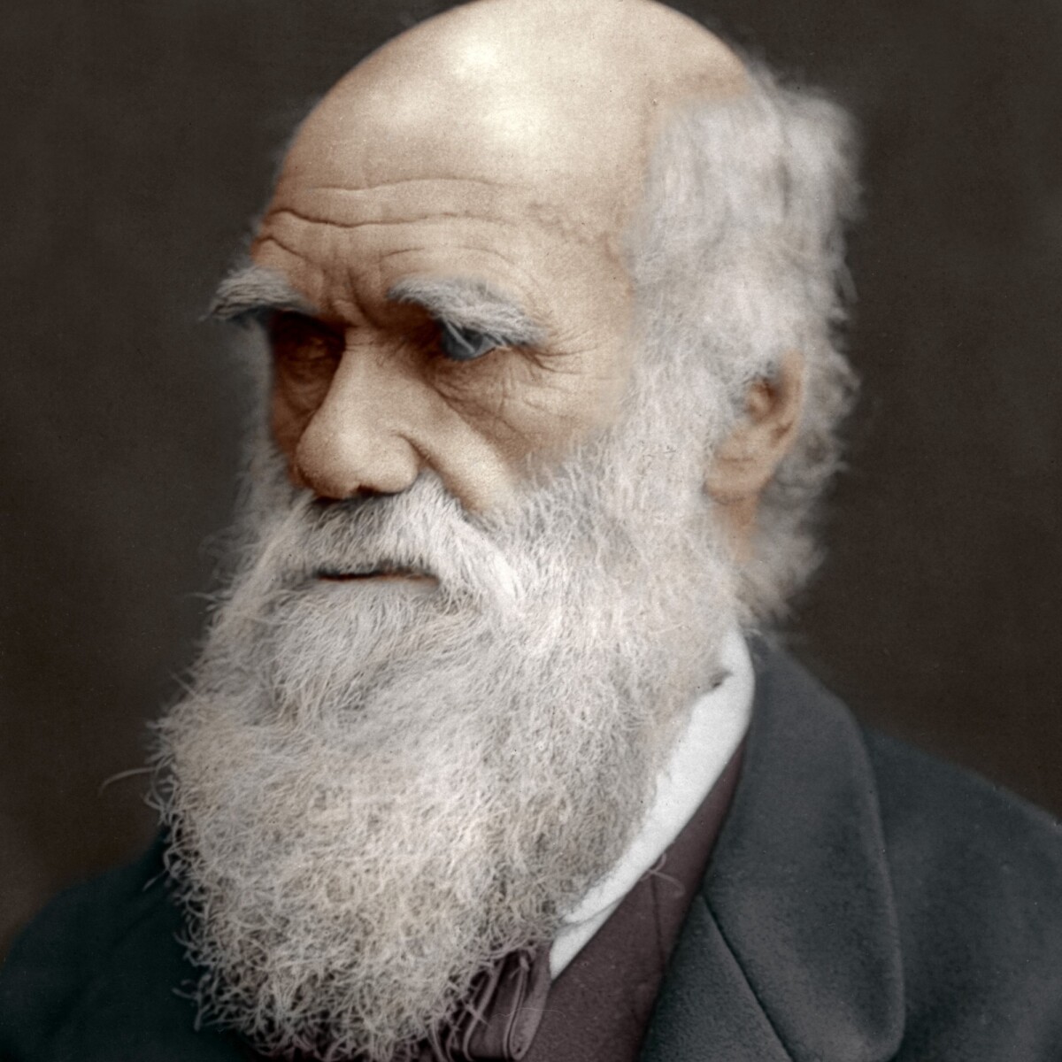 1ffab51e441f60b9d70748877bb8536365182574a6da72fa932f66daa04029b7.jpeg