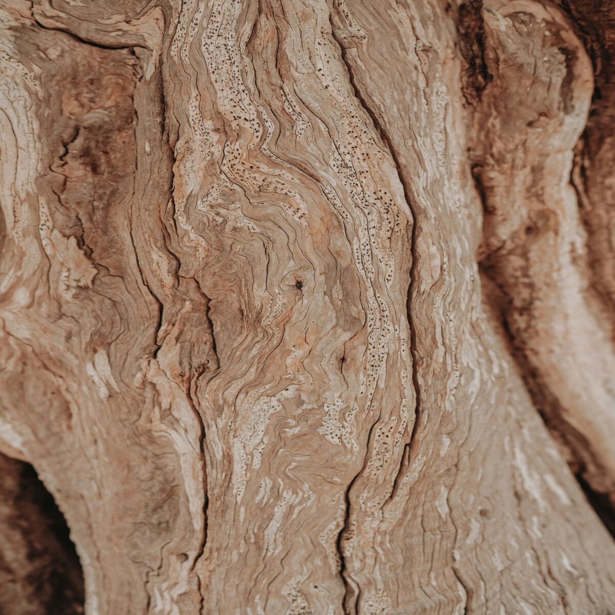 2ad6fd3b19134d67717003d9d7196bd6129c9121261339b5581ca29b11d4a188.jpg