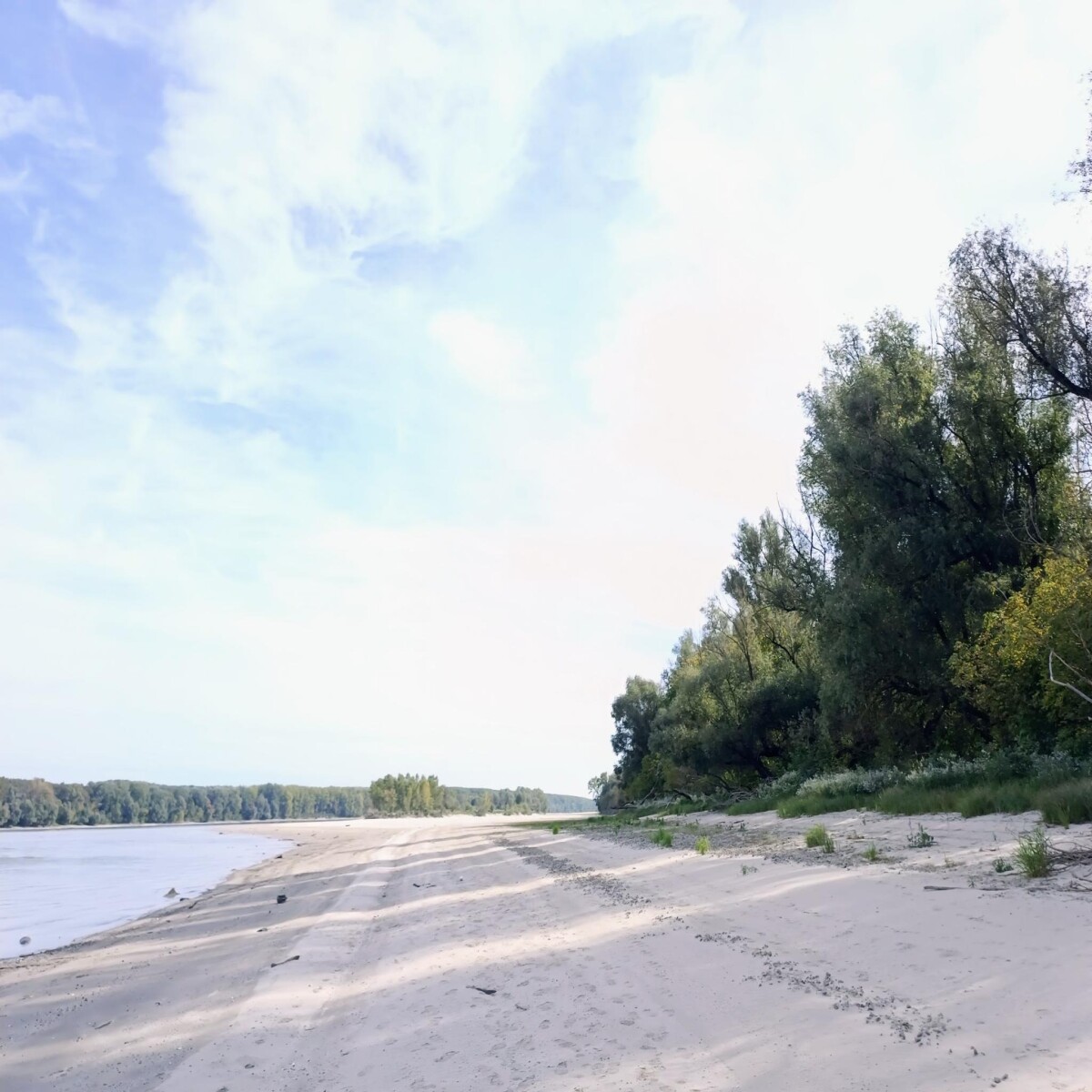 Liberty Island ❤️  #Island #Liberty #nature #danube #River #Beach #liberland #naturelovers #NatureBeauty #sand