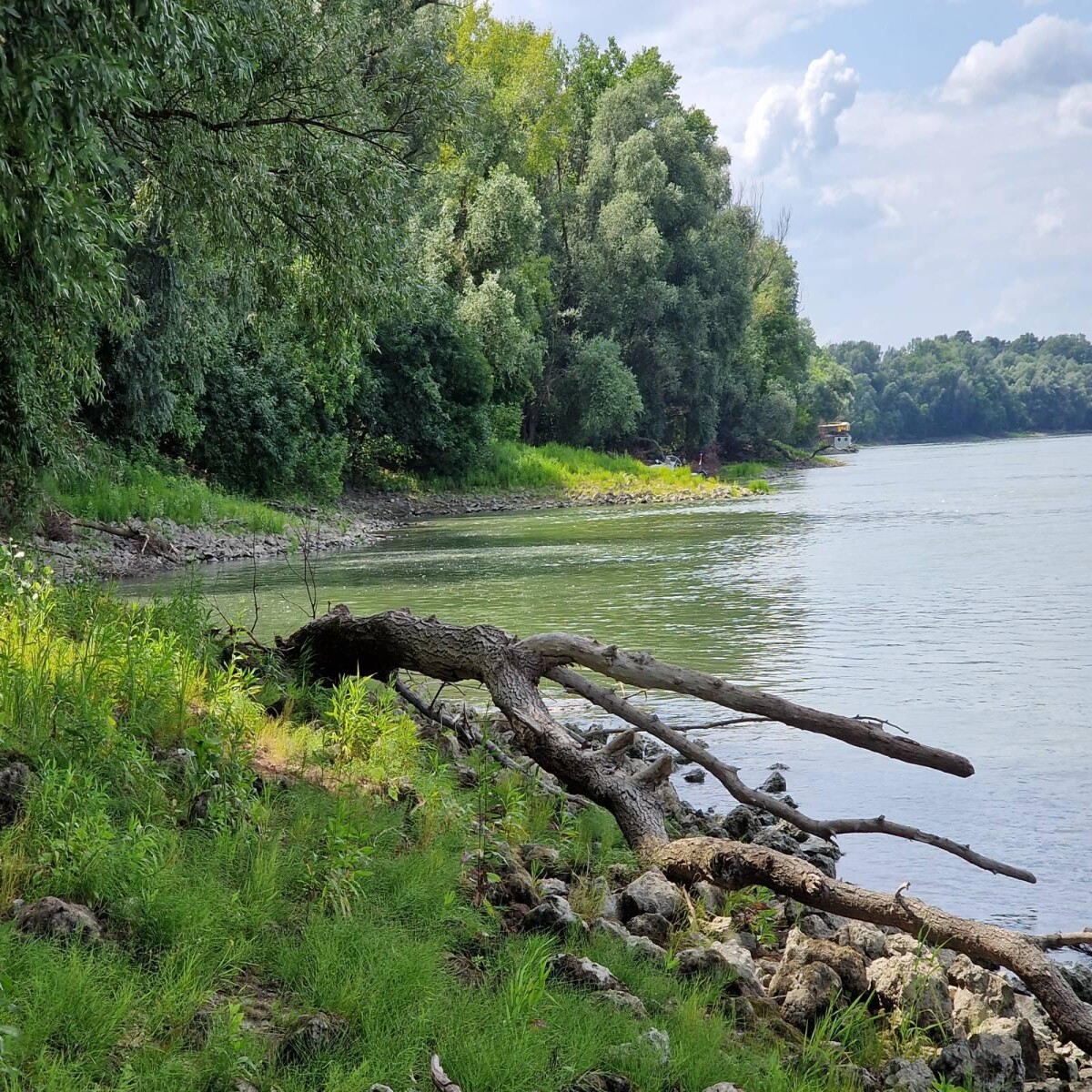 Liberland #nature