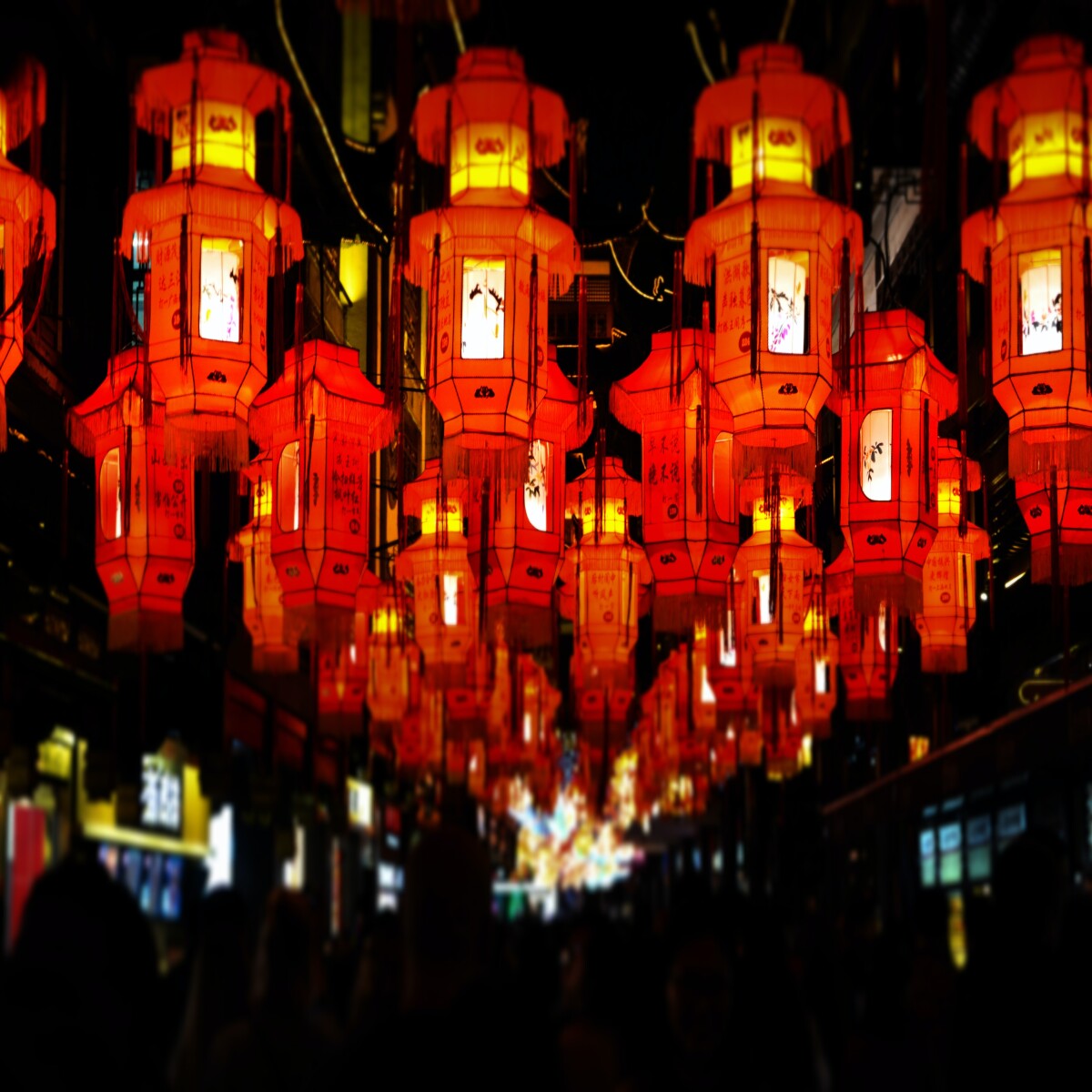 https://unsplash.com/photos/v7r8kZStqFw?utm_source=unsplash&amp;utm_medium=referral&amp;utm_content=creditShareLink