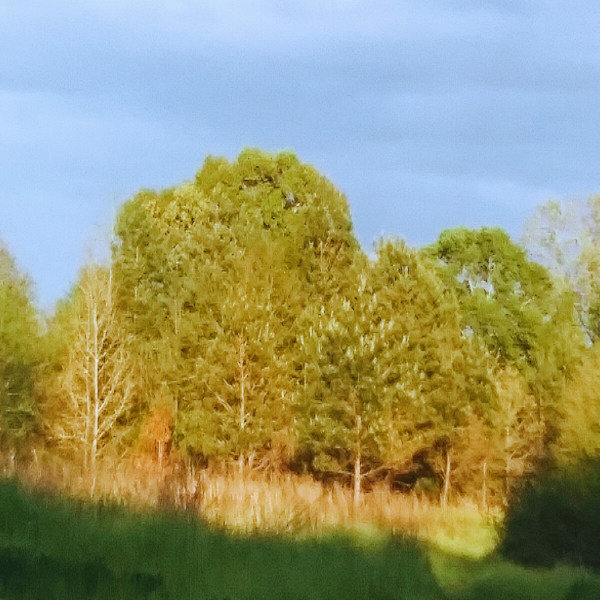 43f529f63f6257df89cbb45514402b62d28cb10f6afa3fee629b283265b825be.jpg