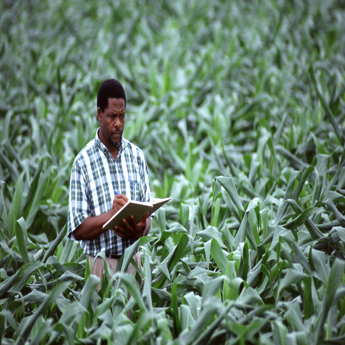Develop a Plan (Image from Beginning Farmers)