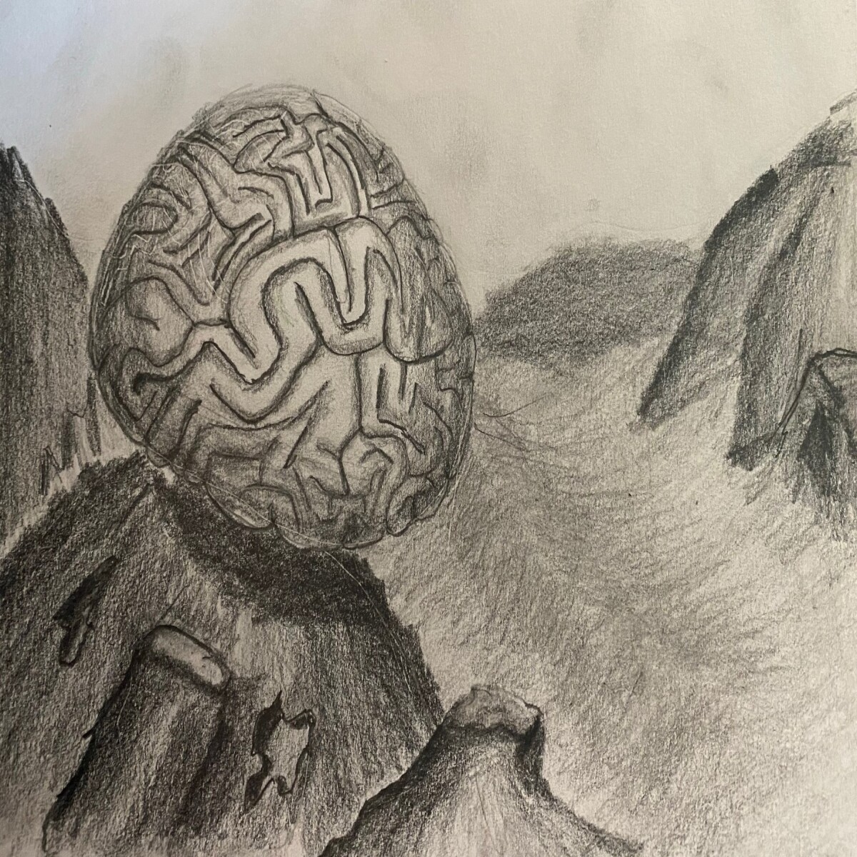 seascape with coral - drawing in pencil