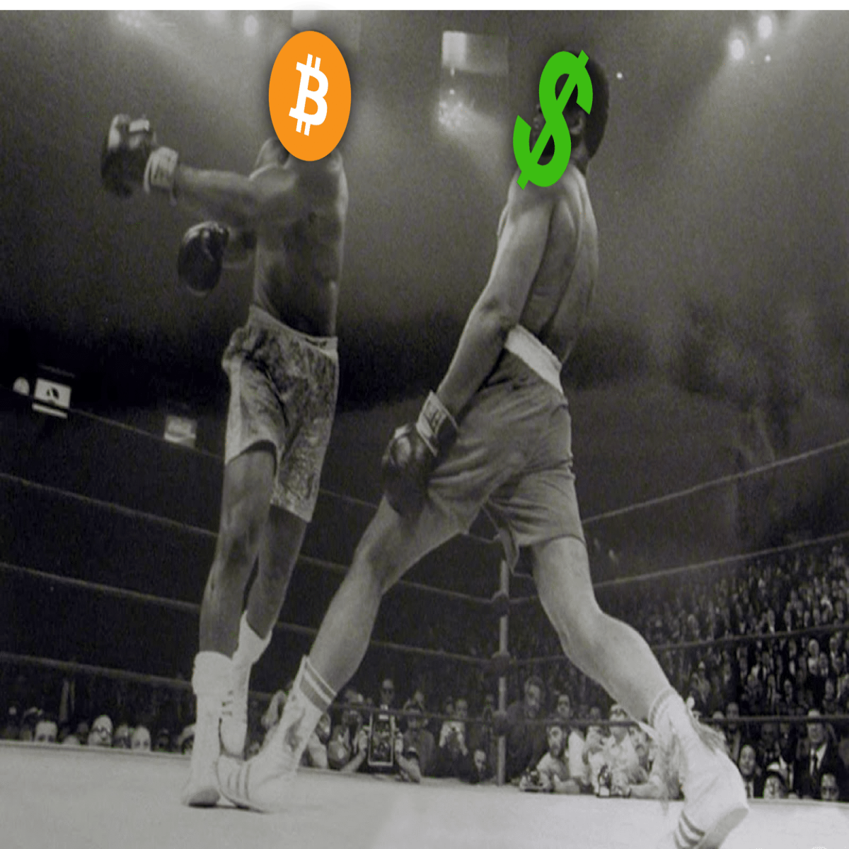 4e6dd0d336d8f3630738b01972a0ed138142aace513a57754261d438e96b59a1.png