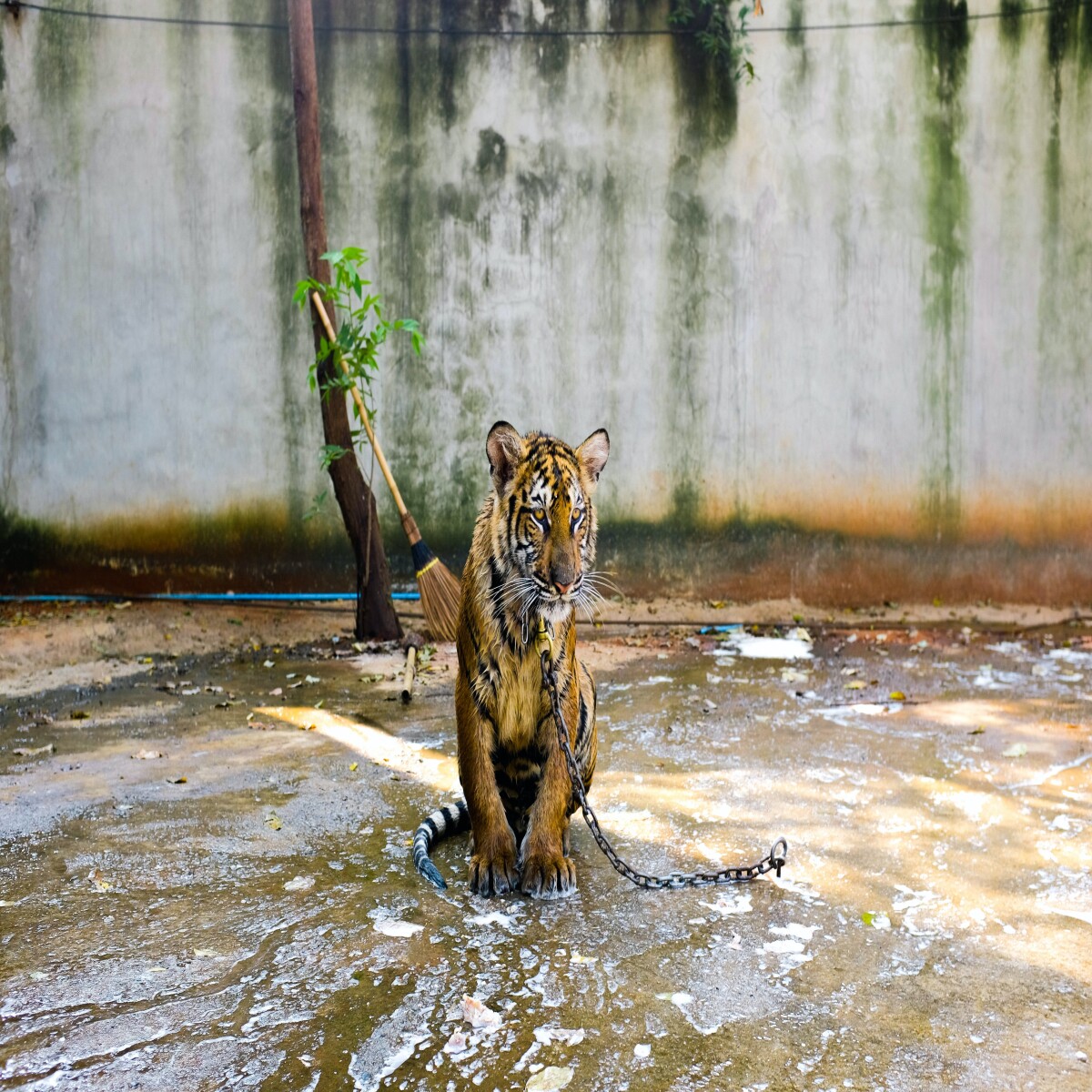 https://unsplash.com/photos/YohwNrt3Caw?utm_source=unsplash&amp;utm_medium=referral&amp;utm_content=creditShareLink