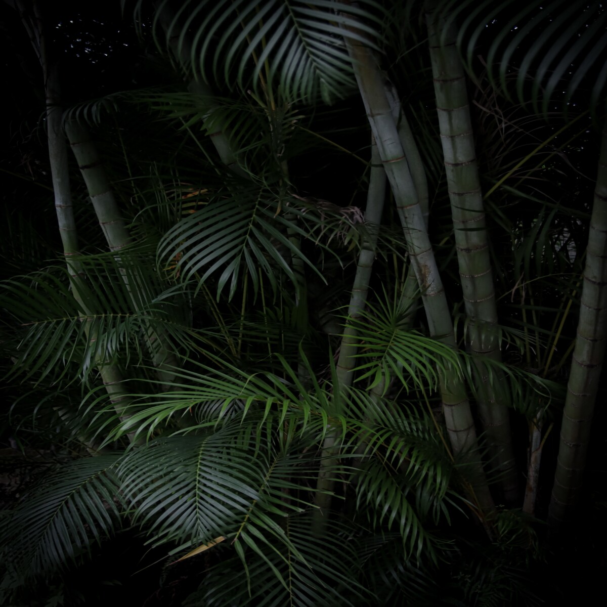 https://unsplash.com/photos/VOqdPqaEBCk?utm_source=unsplash&amp;utm_medium=referral&amp;utm_content=creditShareLink