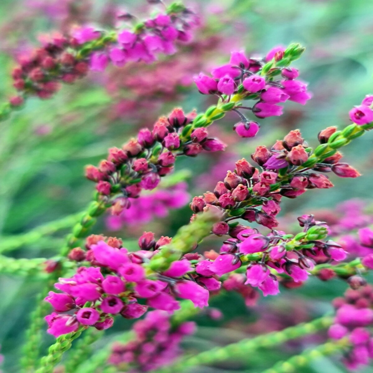 6c90e7bdc95890fdc0f0930d49c1abe27511bb439500664619fd0252b632e290.jpg