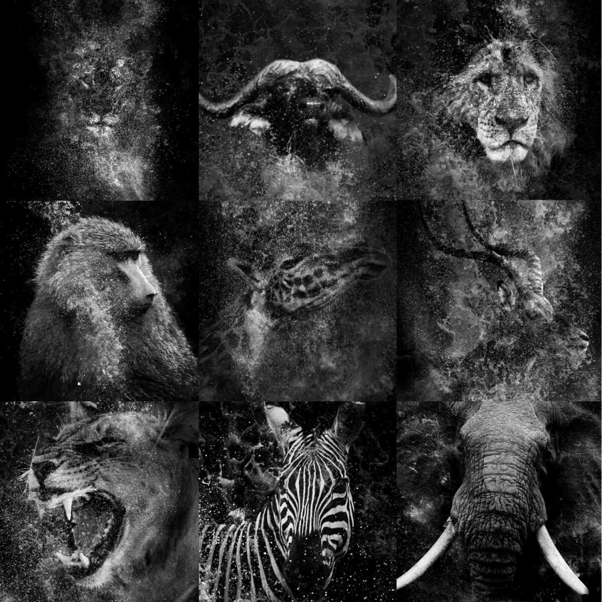 Find this collection of composites on my Opensea profile