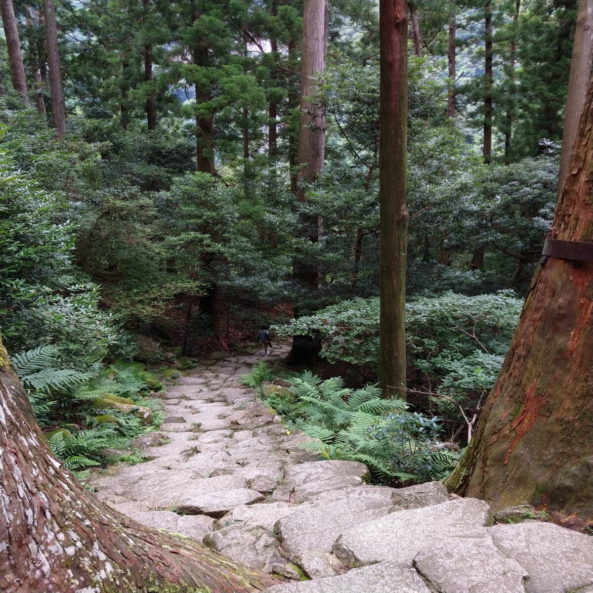Stone stairway