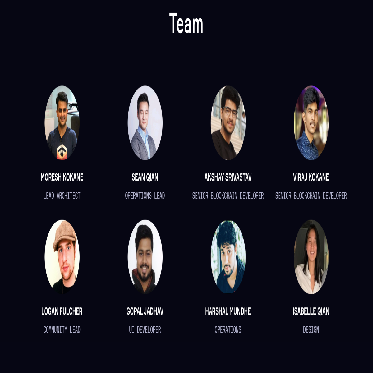 The OpenDAO Team as seen on OpenDAO.io