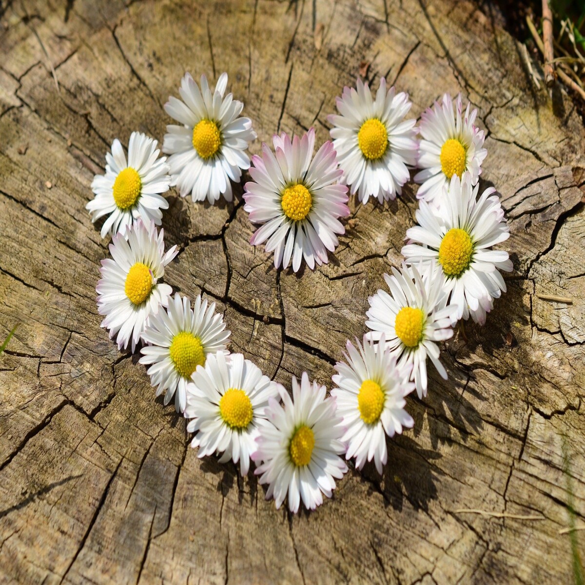 881df99a3f2a2921acca41b848f60377f39bb8563f117fc75fd015051d215c84.jpg