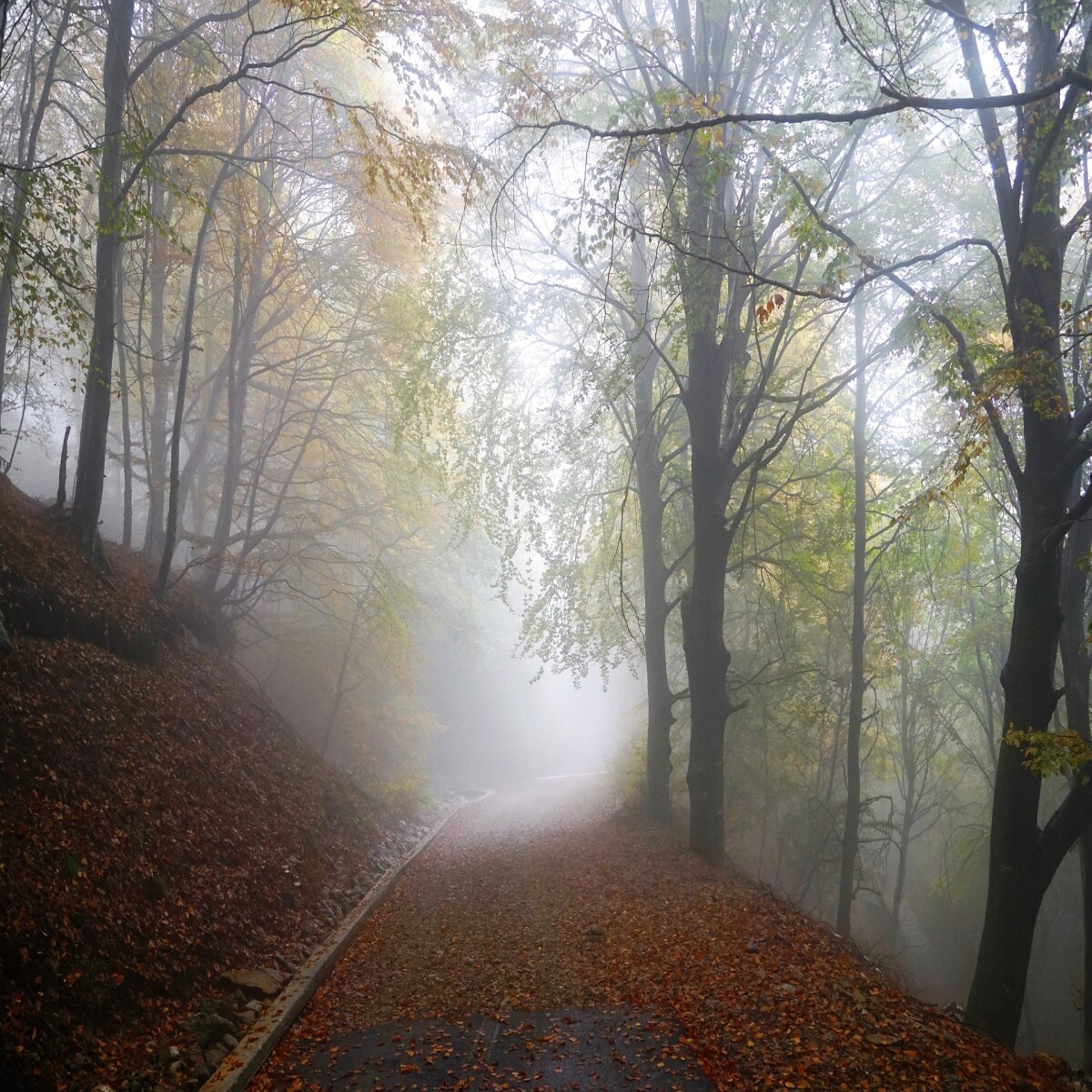 We don't have to be afraid of uncertainty