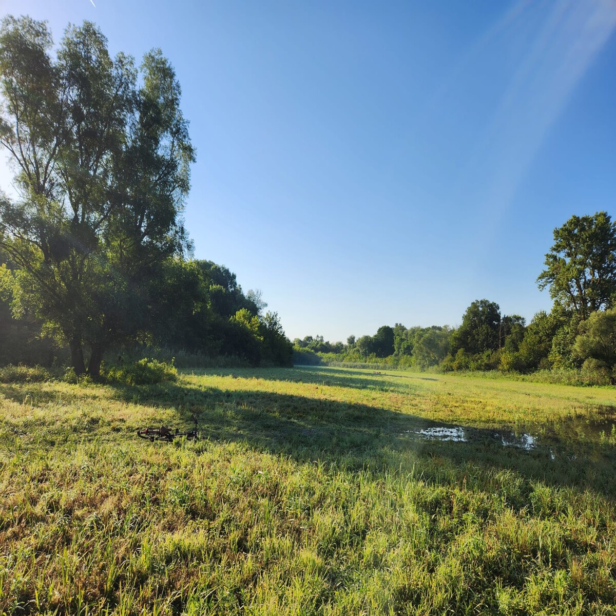Amazing good #morning from #Liberland @liberland_org #nature #naturelovers #NatureBeauty #Freedom #libertarian #green #forest