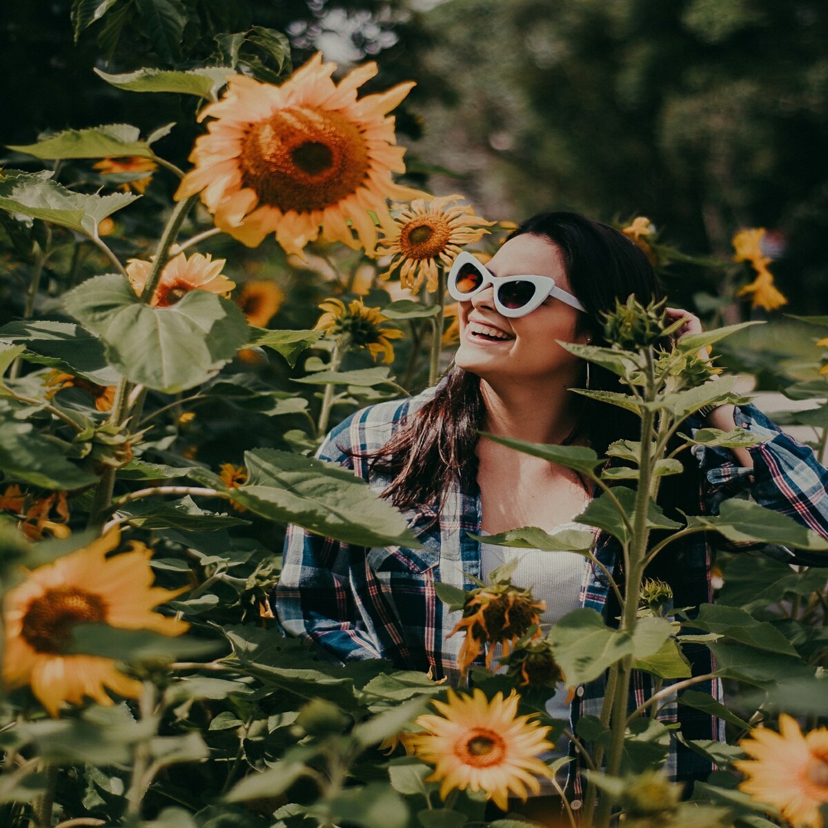 https://unsplash.com/photos/tIkqoz4_lho?utm_source=unsplash&amp;utm_medium=referral&amp;utm_content=creditShareLink