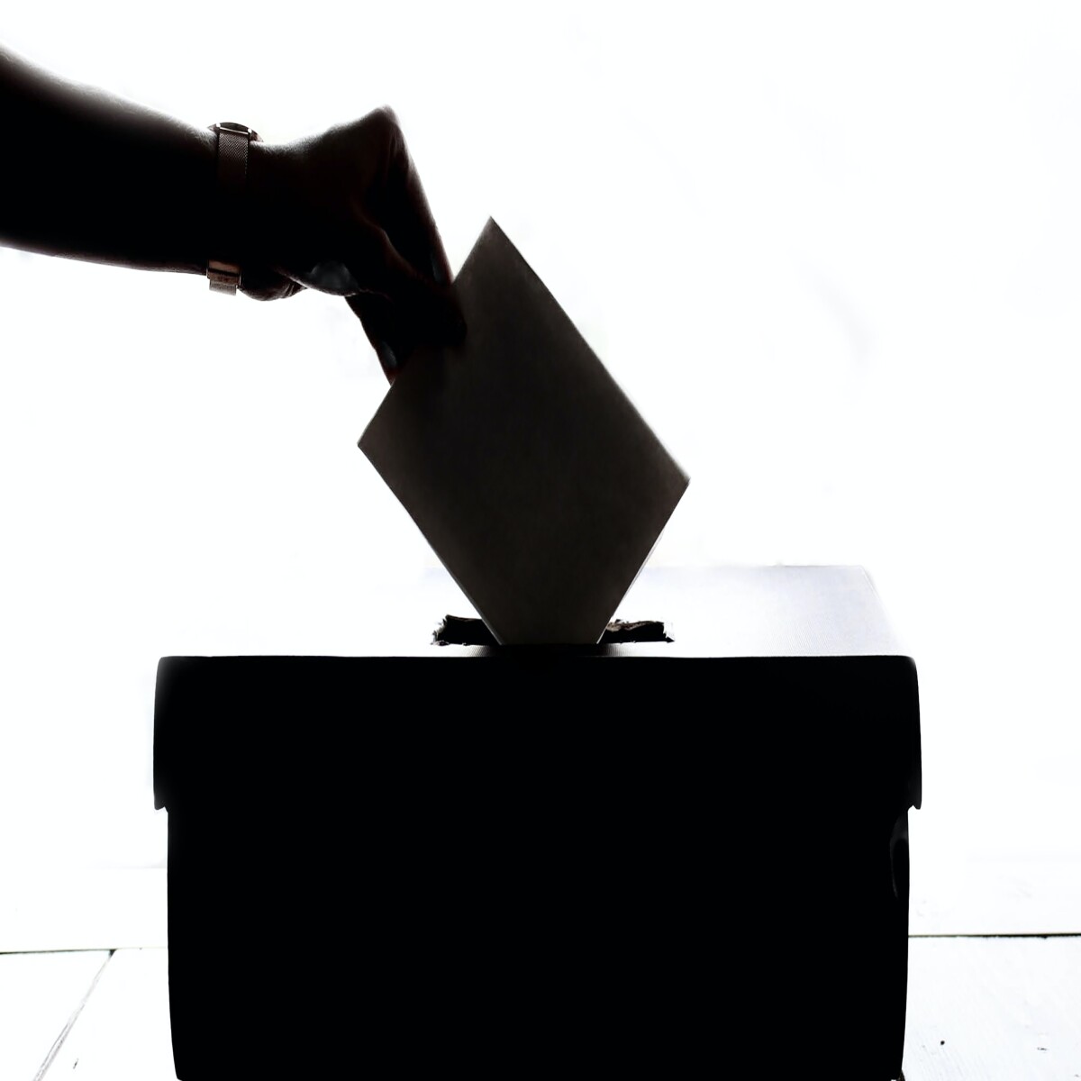 Useless Vote