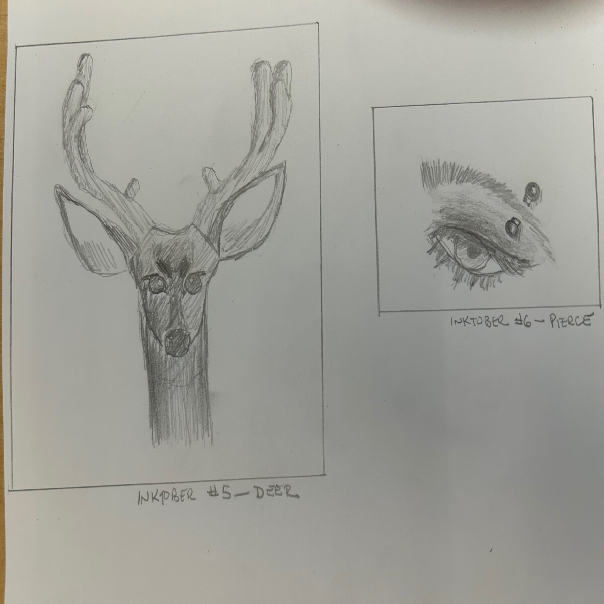2 sketches in pencil: deer head, smoky eye with pierced brow