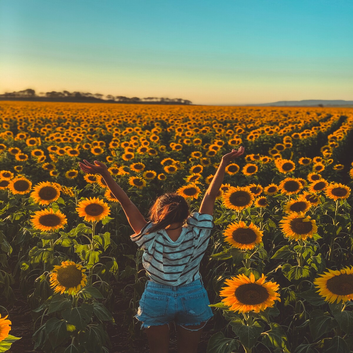 https://unsplash.com/photos/AvOUmlZZMyY?utm_source=unsplash&amp;utm_medium=referral&amp;utm_content=creditShareLink