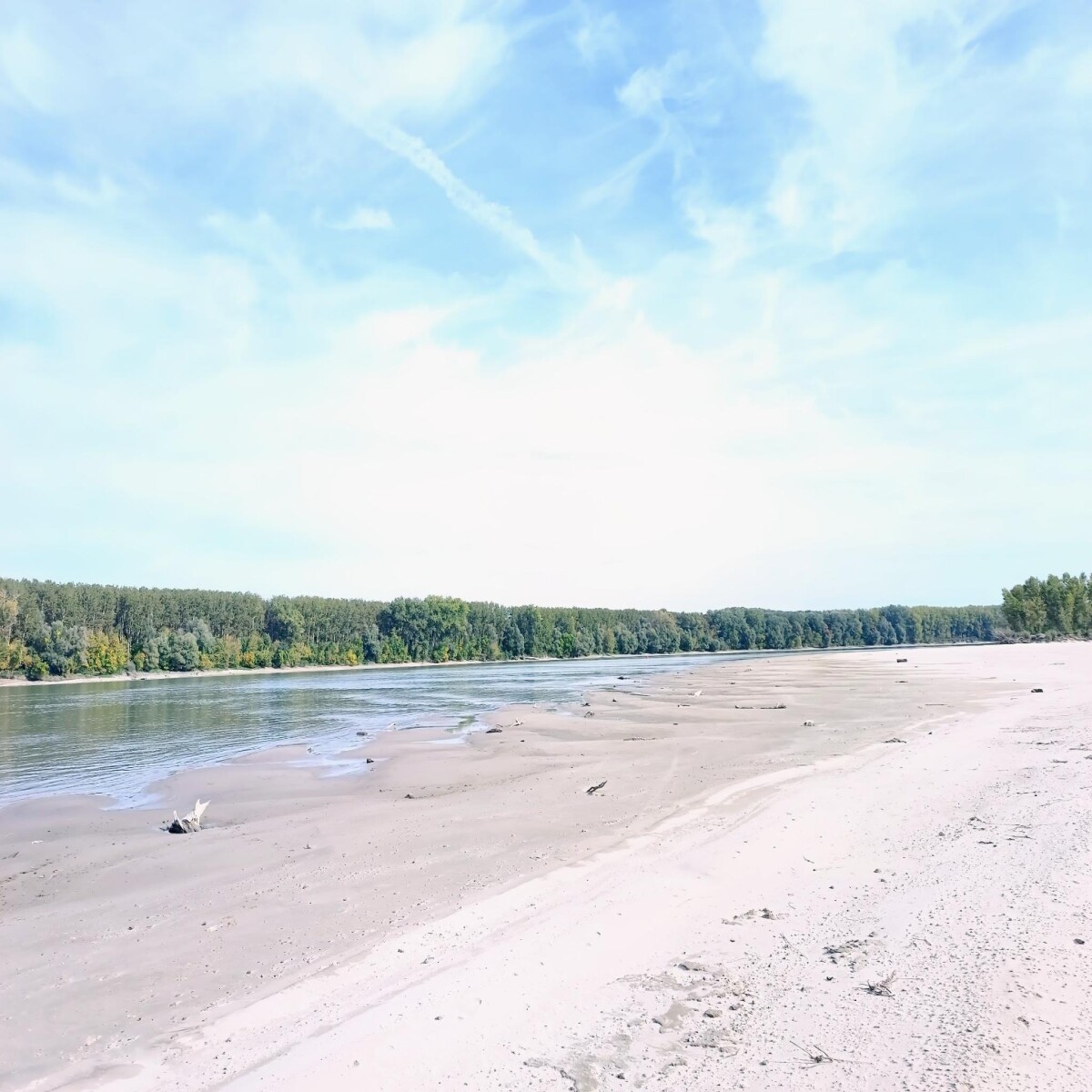Liberty Island ❤️  #Island #Liberty #nature #danube #River #Beach #liberland #naturelovers #NatureBeauty #sand