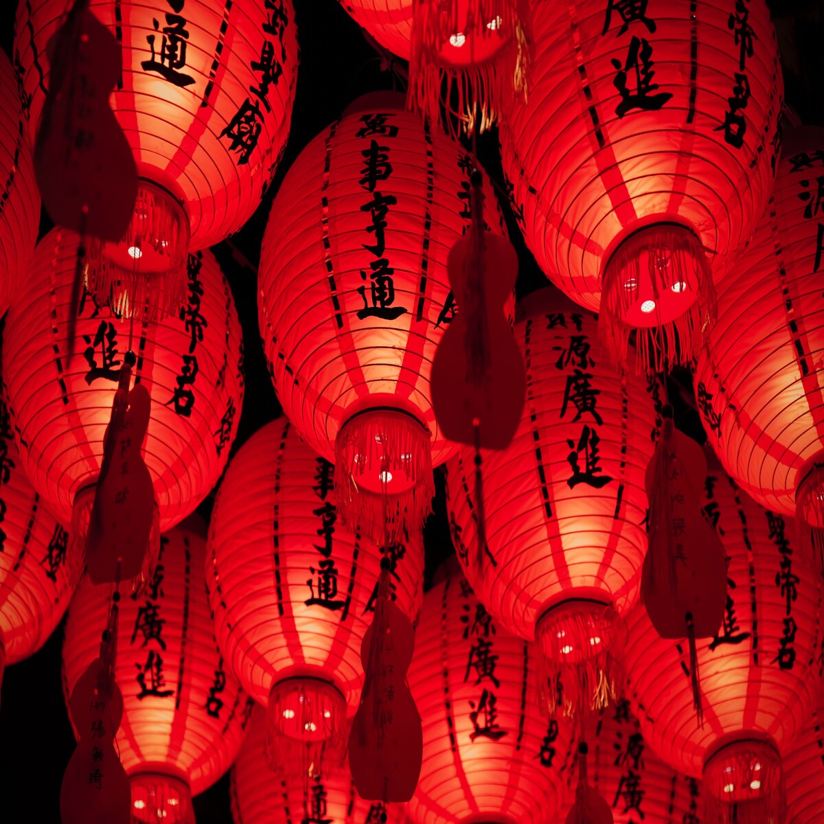 https://unsplash.com/photos/3JFVNo4ukKQ?utm_source=unsplash&amp;utm_medium=referral&amp;utm_content=creditShareLink