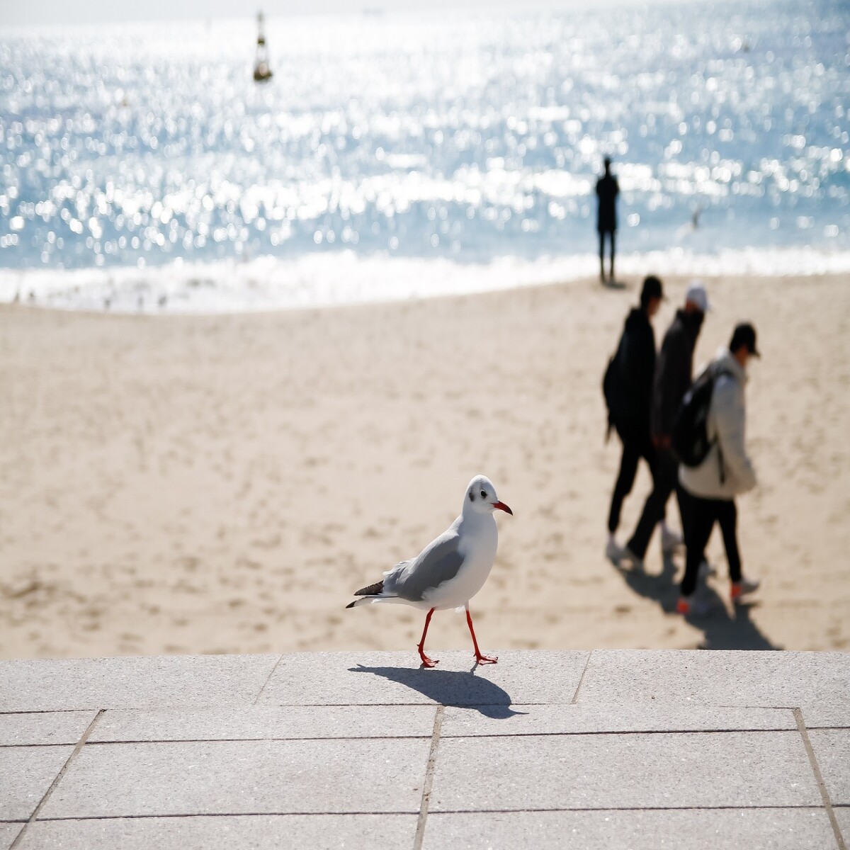 The manifestation of willpower is vague until the effects come to play