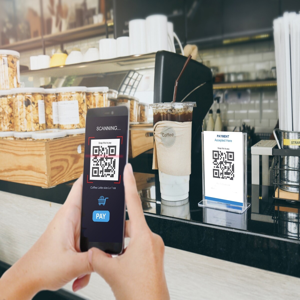 paymentinCrypto