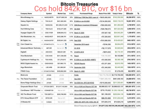 Bitcoin Treasuries