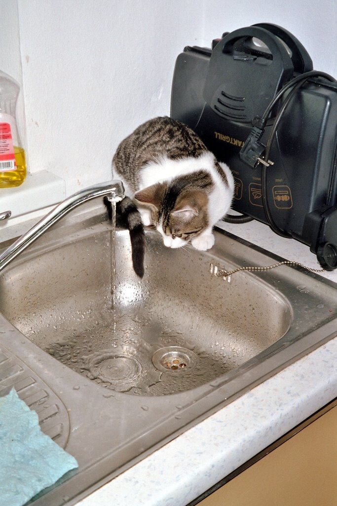 Wasser