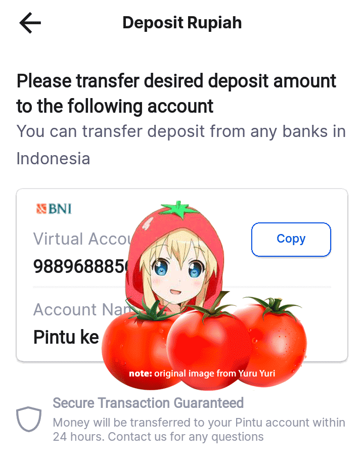 image of Pintu's deposit form but I cover my info with anime cutie