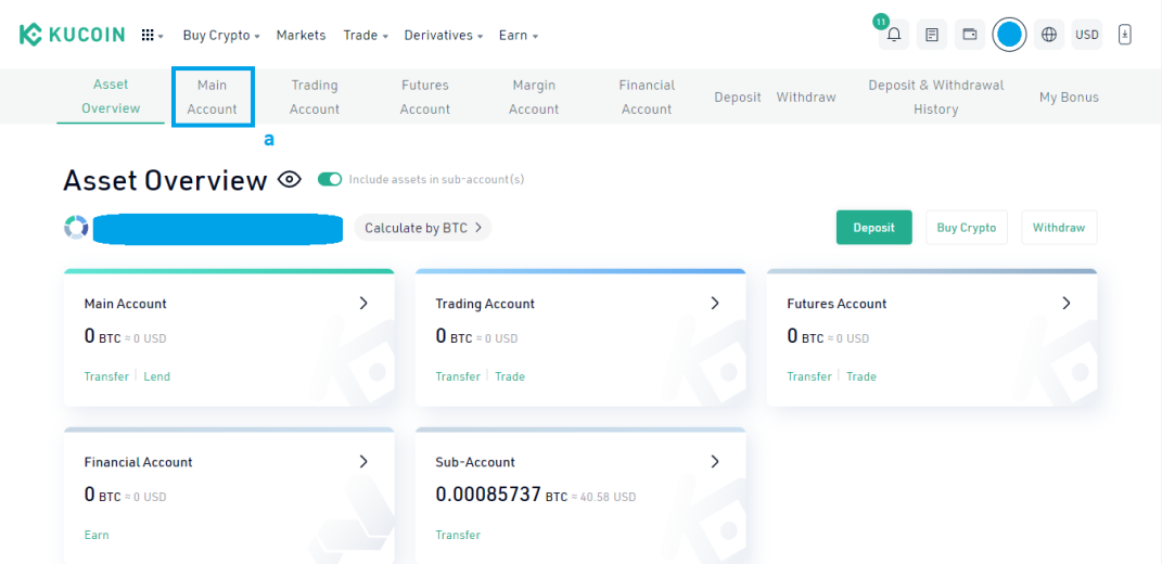 Go to Main Account