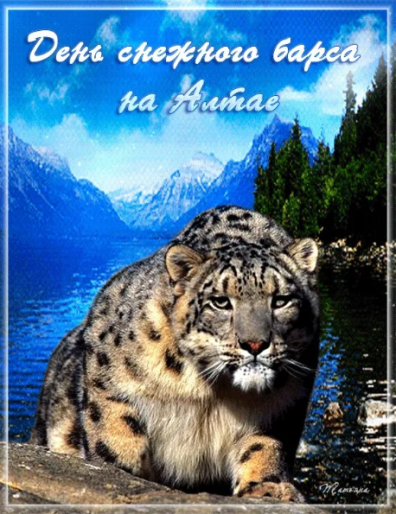 9921bcbeff35e17fabcedc08f25bc38983e75e68cd1566289fc20ebdd2c78144.png