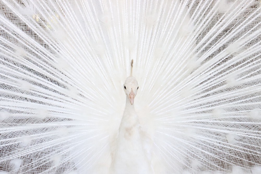 Photo by ANGELO CASTO on Unsplash