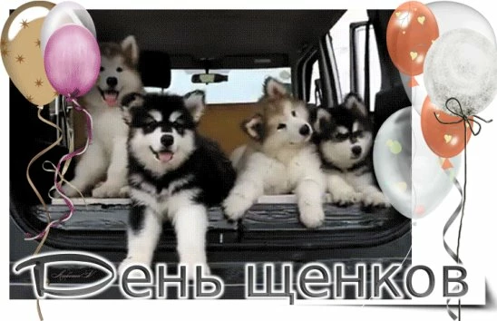 fb2e1766e8d9c8d95a769d303dc4a100d00d563f58349a72e390716f0d35540f.jpg