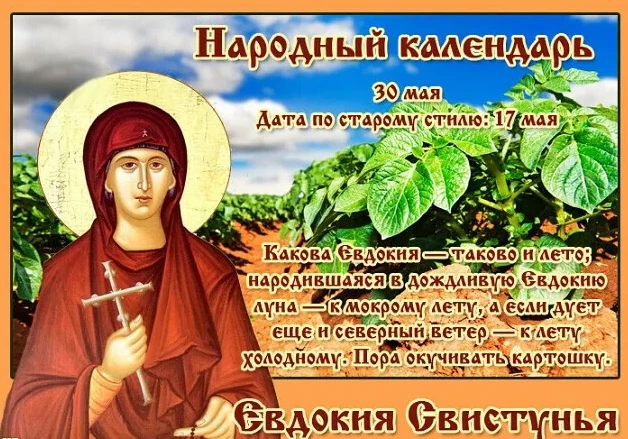 fd96aecfe4e3e5d18a5599ccca040a2ced04a845d51a47cec3ad7fef41e7ed3c.png