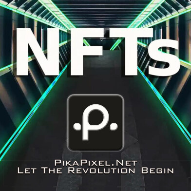 PP Full Access 004