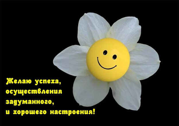 10fb6ca54ca85b3edd7e1cc16e259d0e6d30f856b88c5a2c6e41aa7994ad3cdd.jpg