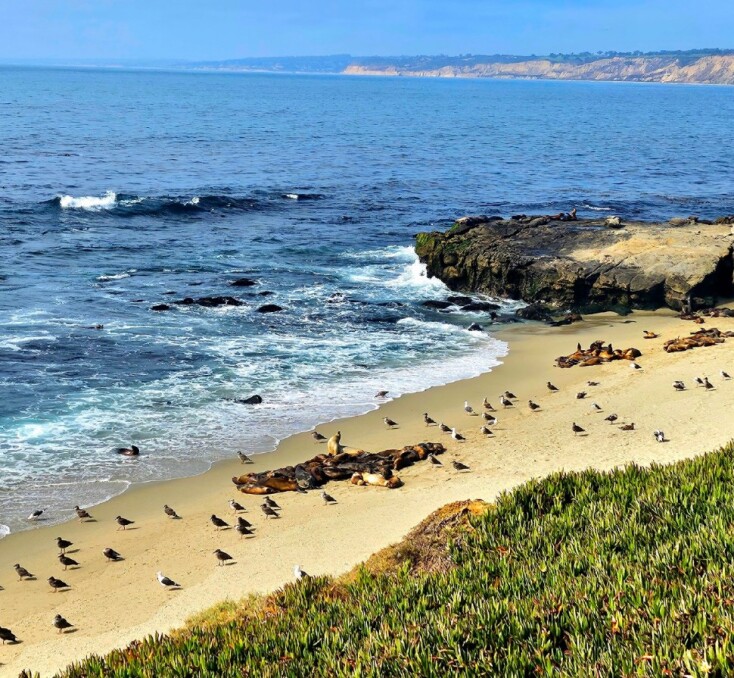 La Jolla