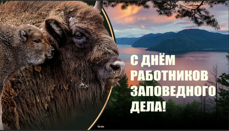 f001ba8fcf7ba12957b55f7feb0795f9330584027b7d17c62b35dab347171f71.png